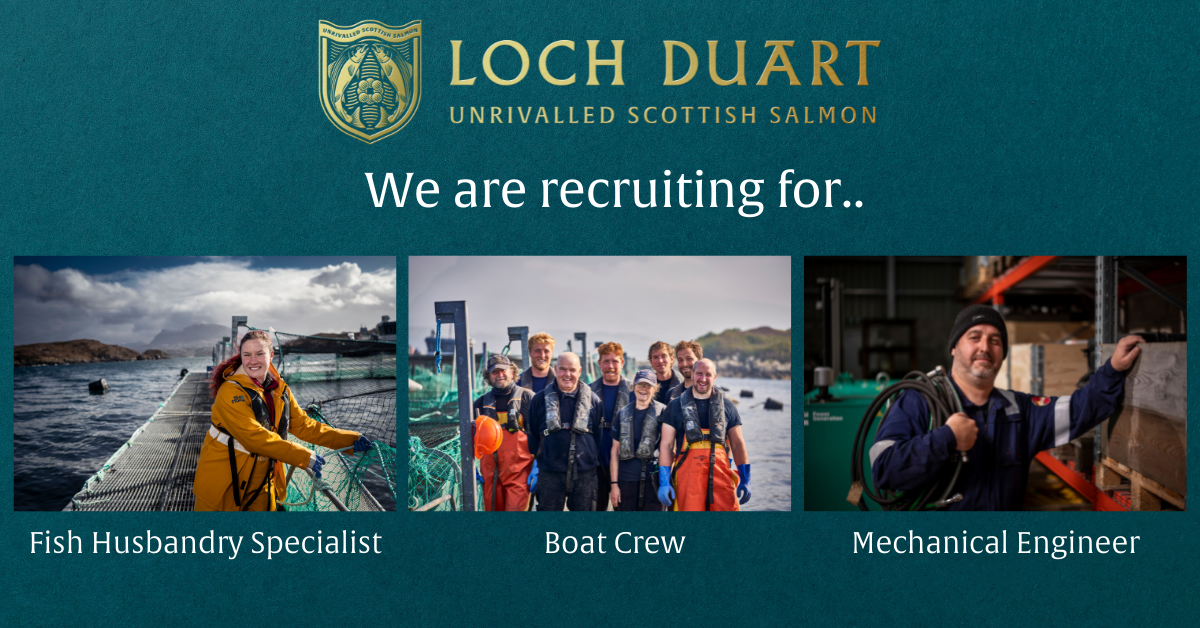 Work with Loch Duart Salmon