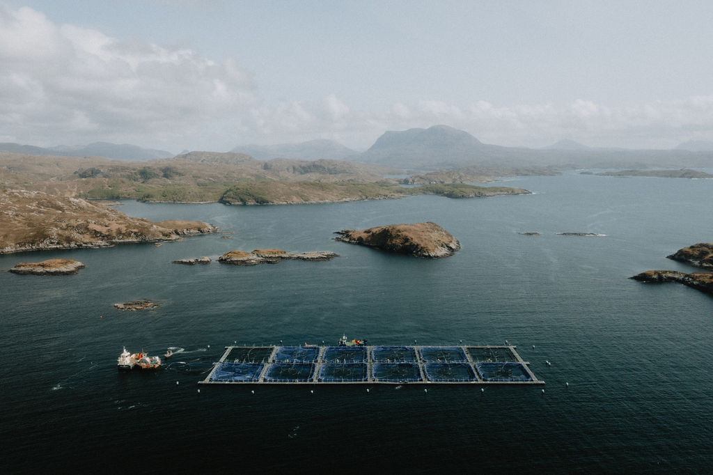 Loch Duart Salmon takes the lead with new welfare standard