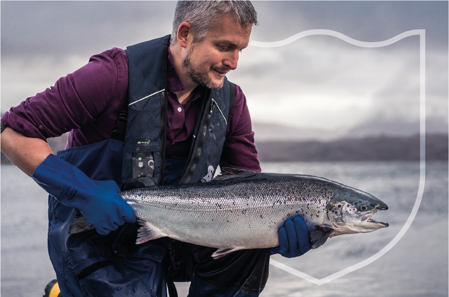 Welcome To Loch Duart Unrivalled Scottish Salmon